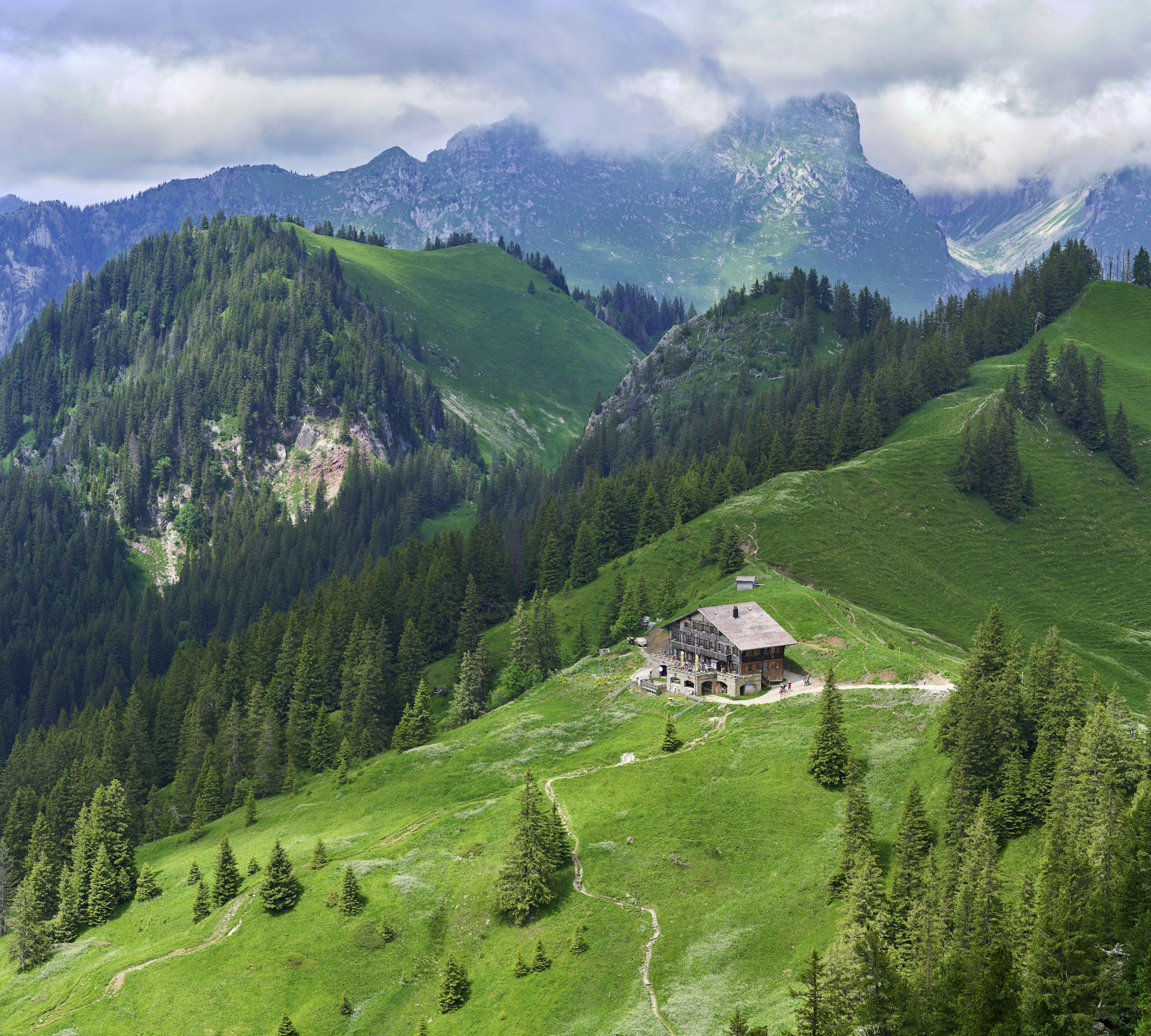 Bergpanorama und Almwiesen
